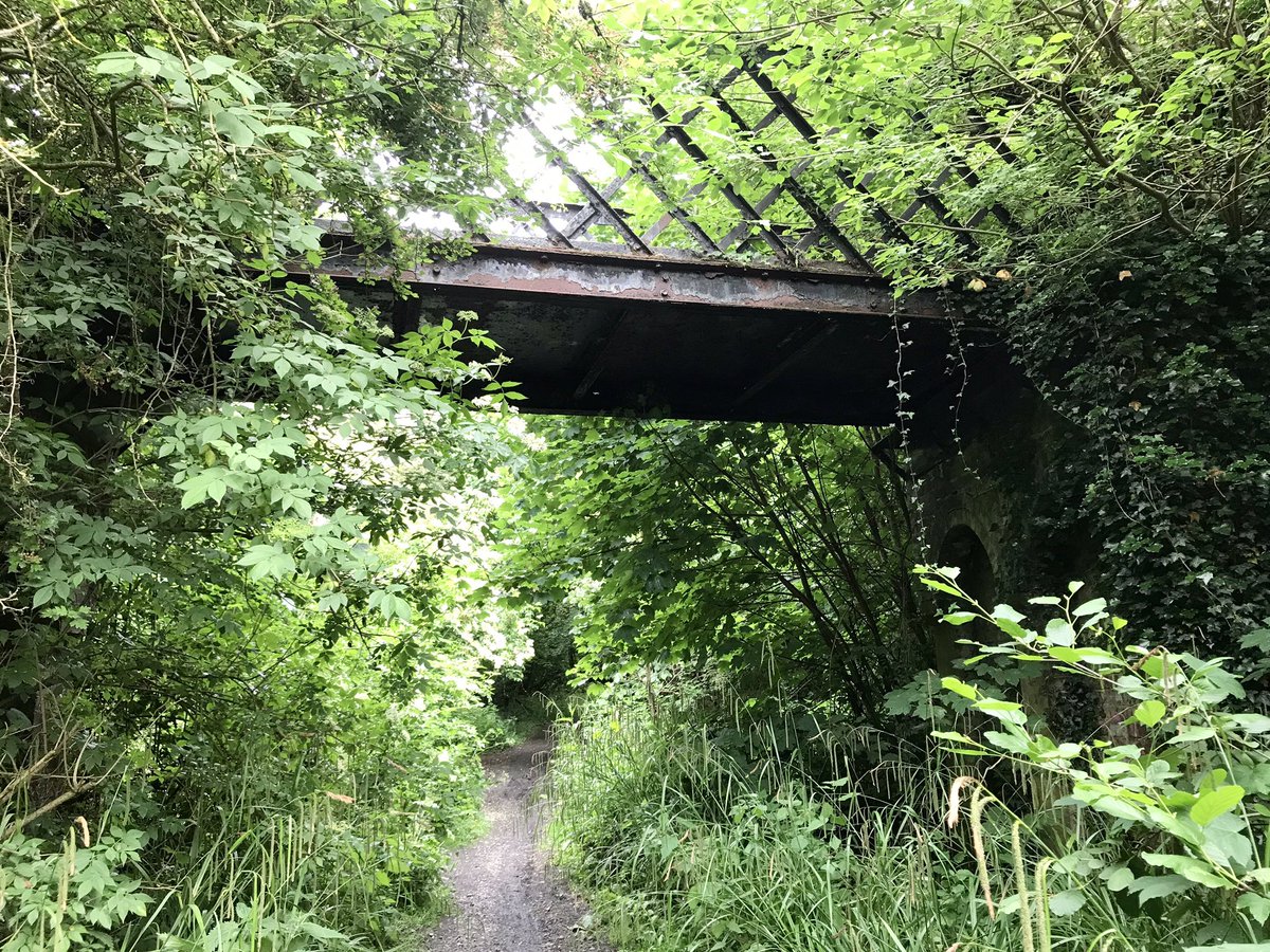 Down in the English Midlands the Barrow Hill incline (1 in 25) on the #Pensnett Railway #BlackCountry built 1856 to serve the adjacent #coal mines and #brick works most of the over bridges survive, sadly yes that was a fire!
#railwayheritage #railwaywalking #industrialarchaeology