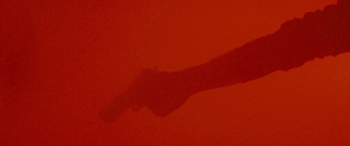 Sophiannnn2002's tweet image. #dontbreathe2 📽️

#brendansextoniii