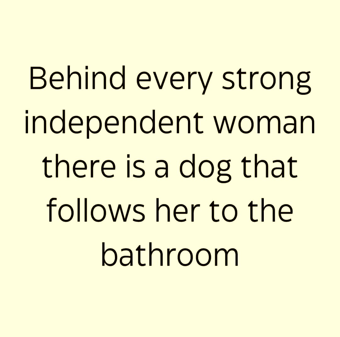 #StrongWoman #IndependentWoman #dog
