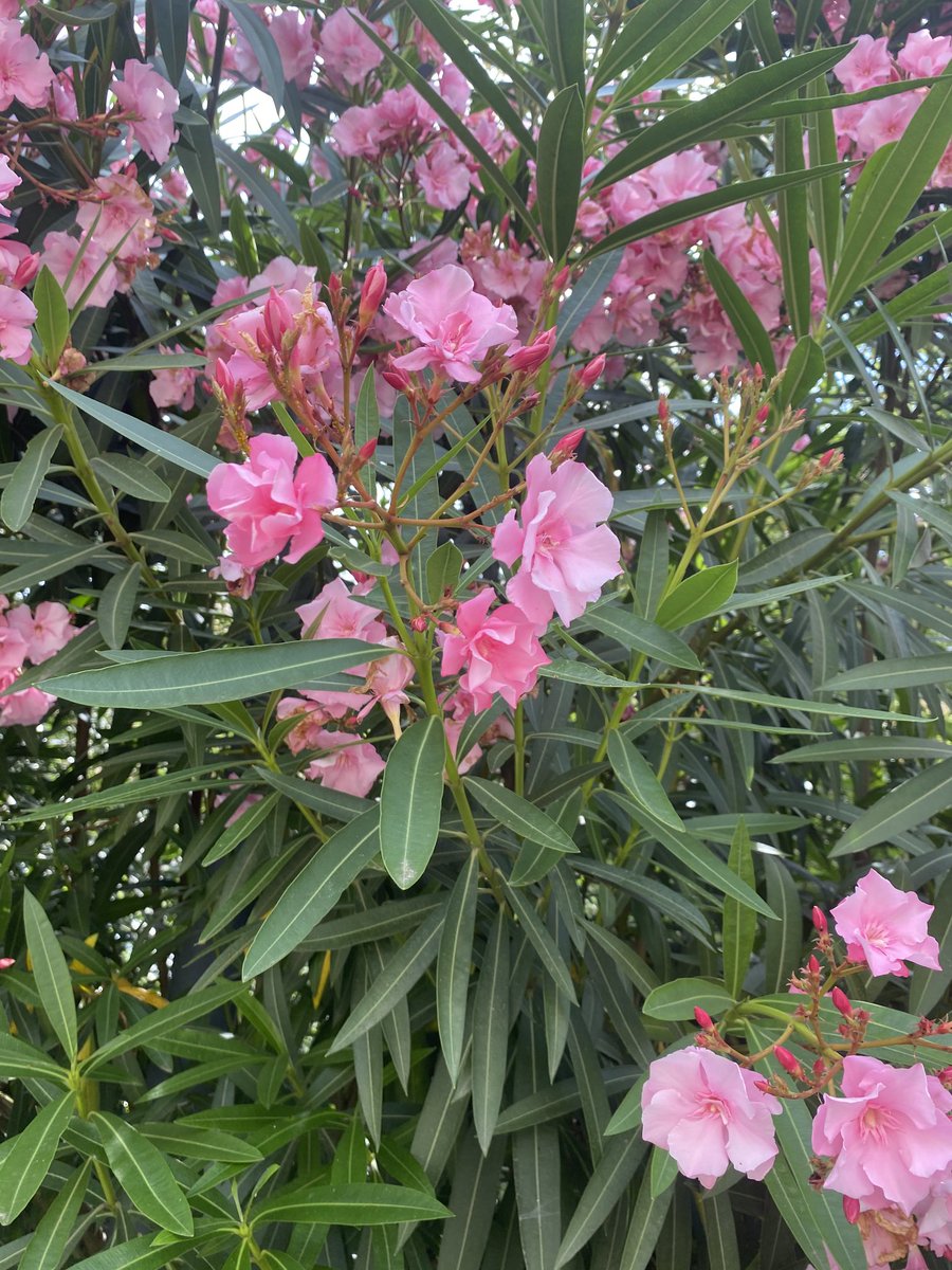 Belle journée ☀️☀️☀️