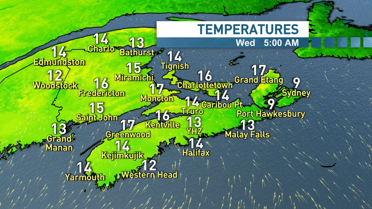 Tina Simpkin tweet media