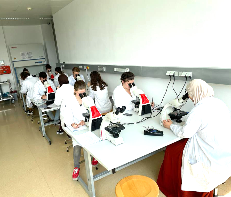 Eva Stoger's Lab tweet media