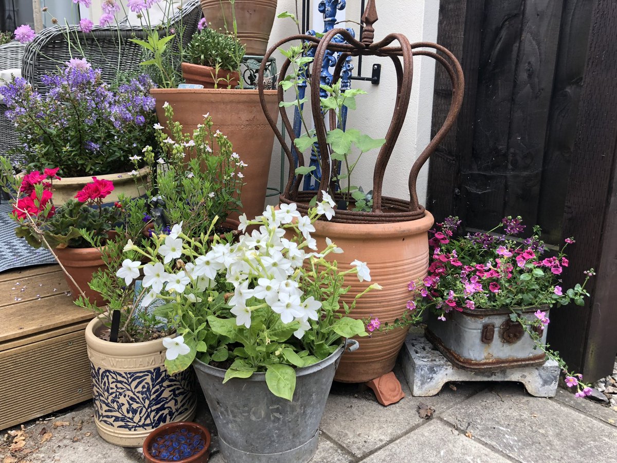 🌱Karen🌱 tweet media