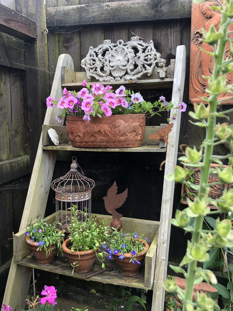 🌱Karen🌱 tweet media