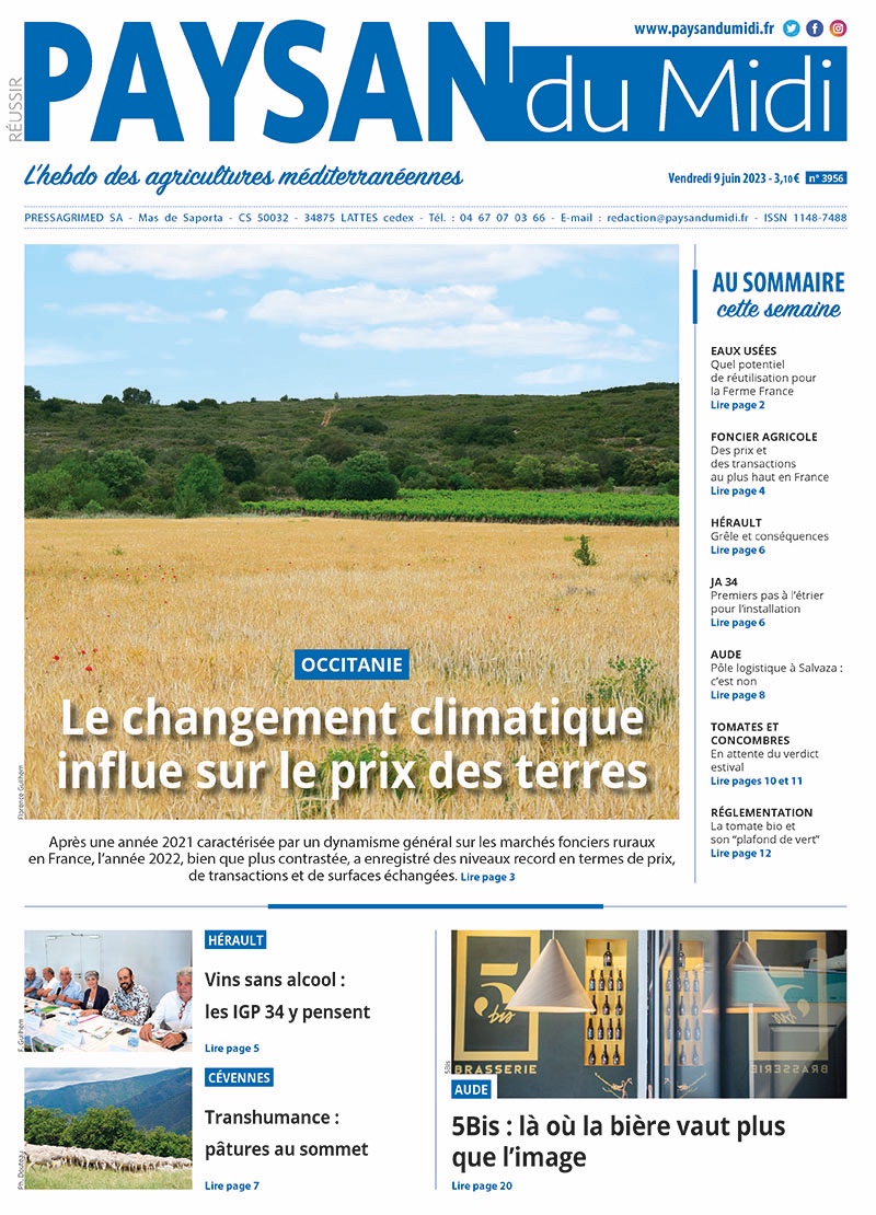 PaysanduMidi's tweet photo. 🗞️Prix et transactions à la hausse #foncier - 🍷#vins : la tendance au 'low' ou sans alcool IGP #Herault - #grêle : dégâts et risque social pour la viticulture - 🐑 #transhumance en #Cévennes - 🍅Dossier #tomate et concombre 🥒- 🍺 Les 'Zef' authentiques de Delphine Roulier #5bis https://t.co/WwqbQAEuxS
