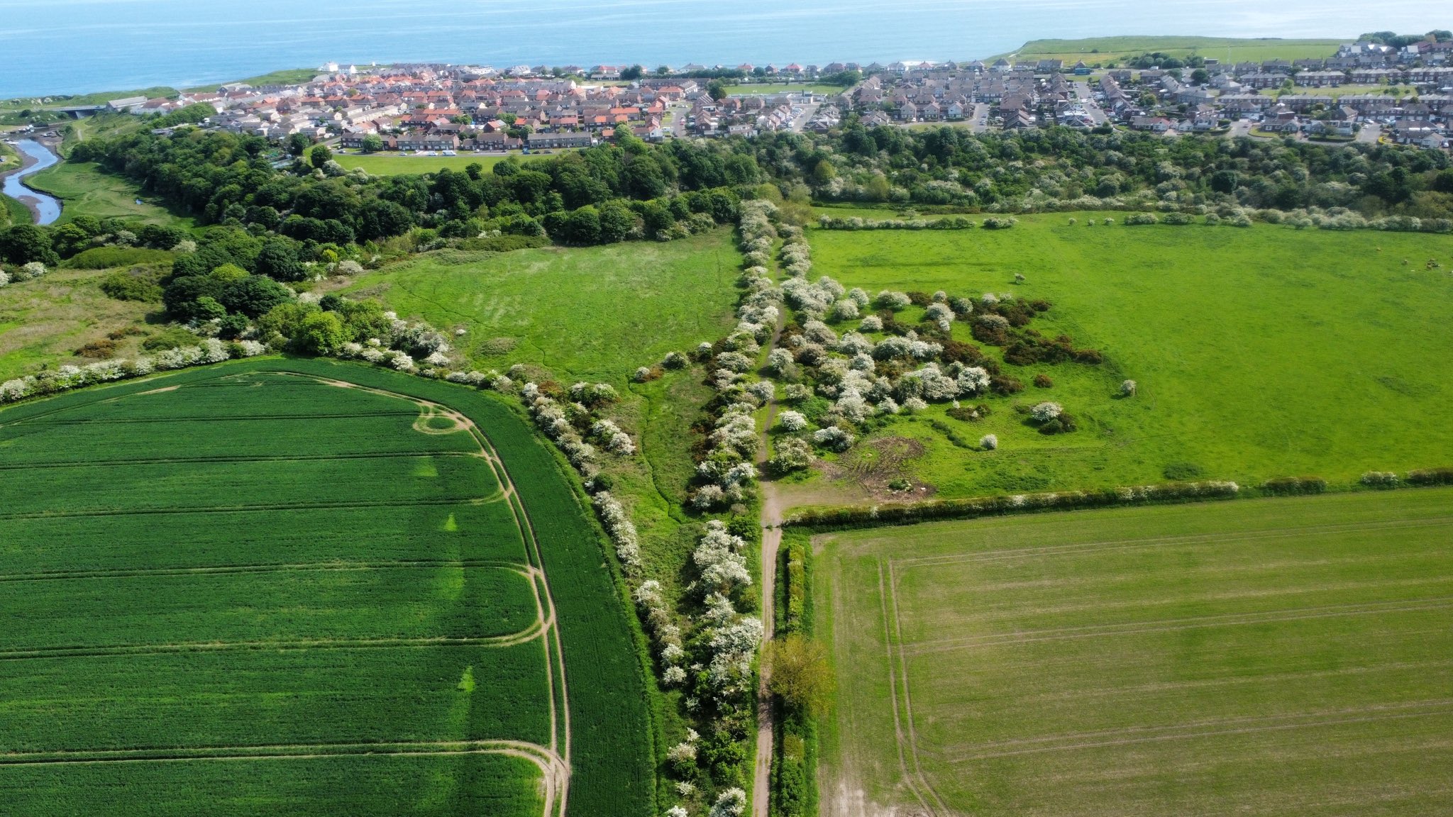 The railway leading to the viaduct over the Seaton Burn in 2023.
