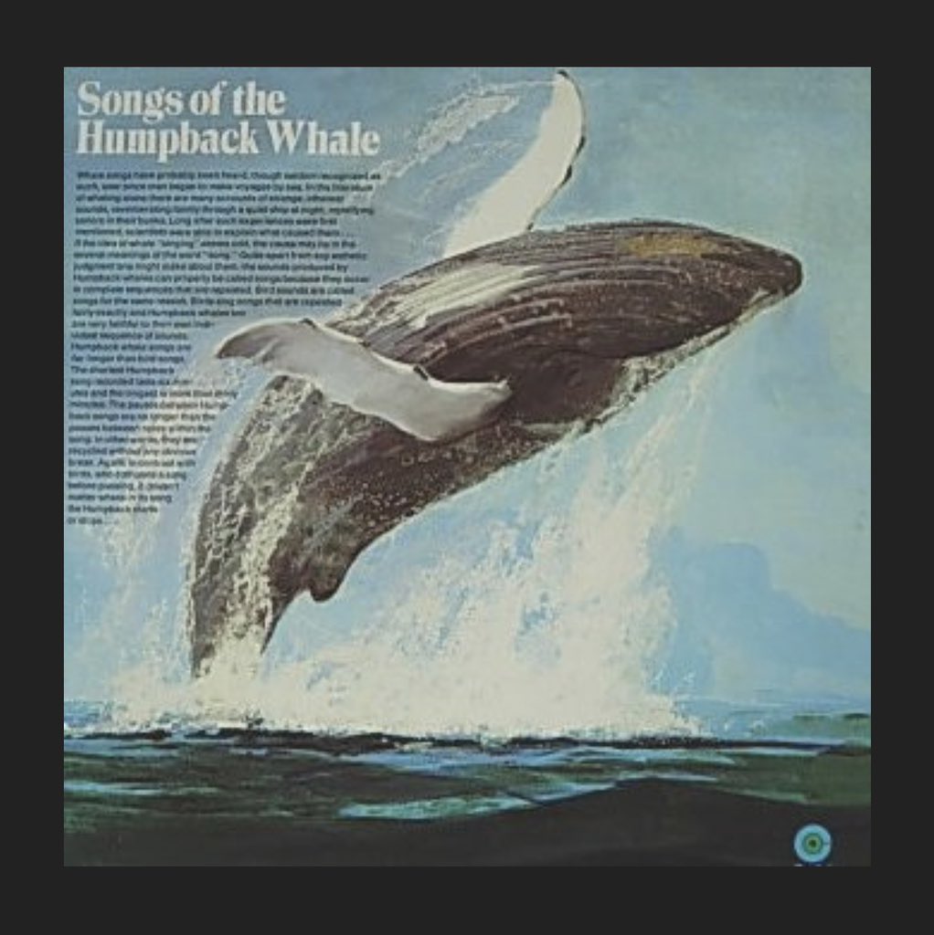 “Isn’t there some different way that humanity could interact with the wild world rather than just desecrating it?” Sad to learn about the death of Roger Payne. Listen to him speak about Songs of the Humpback Whale in @hannahsdean’s 2020 @BBCRadio4 doc… on.soundcloud.com/NLdRK7r2rNhp2Y…