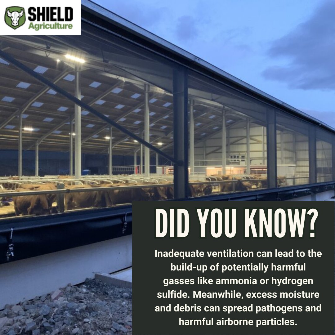 Shield_Agri's tweet photo. Inadequate Ventilation can lead to all sorts of problems on your farm, especially now the temperatures are rising. ☀️🌡️

 Keep your livestock cool by upgrading to Huesker Lubratec Curtain or Stretched System today - Visit https://t.co/gVMng9Un9m for more information. https://t.co/QtxExHfdja