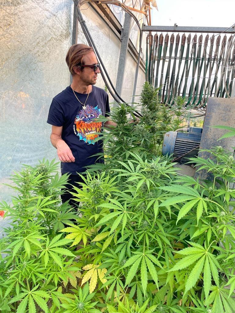 KannabiaSeeds's tweet photo. ¡Nos encantan vuestras fotos y muestras de cariño, #kannabistas ! Porque ¿sabéis? el amor es recíproco!
Gracias al amigo (IG) @carlofarm por estas imágenes desde Italia junto a sus Lemon Haze Auto de #Kannabia 🫶👏💚
ℹ️ #LemonHazeAuto #collectionseeds ➡️ https://t.co/kE7XEkuLKz https://t.co/ZrsM8ht2gk