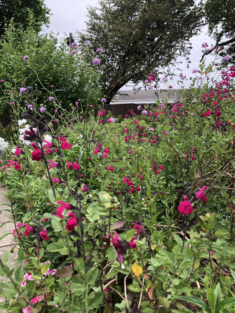 🌱Karen🌱 tweet media