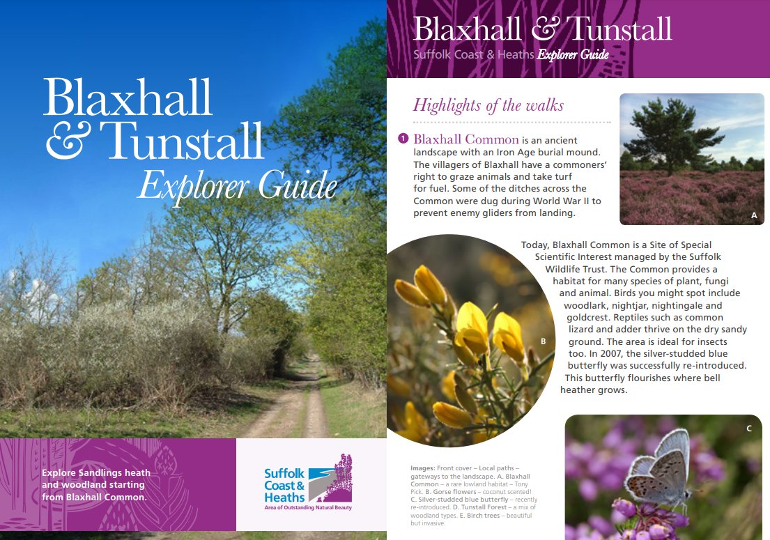 Blaxhall and Tunstall Commons are areas of heathland and other important wildlife habitats 🐤

They are part of the Suffolk Sandlings and partially surrounded by the mixed woodland of Tunstall Forest 🌲

Download our guide 👇
ow.ly/qJwT50GlWXz