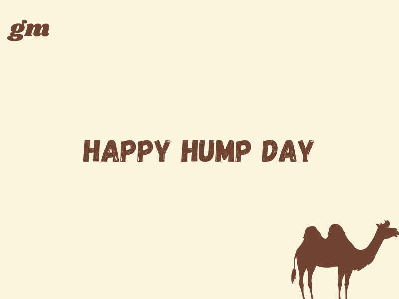 merheb (streamer arc) tweet media