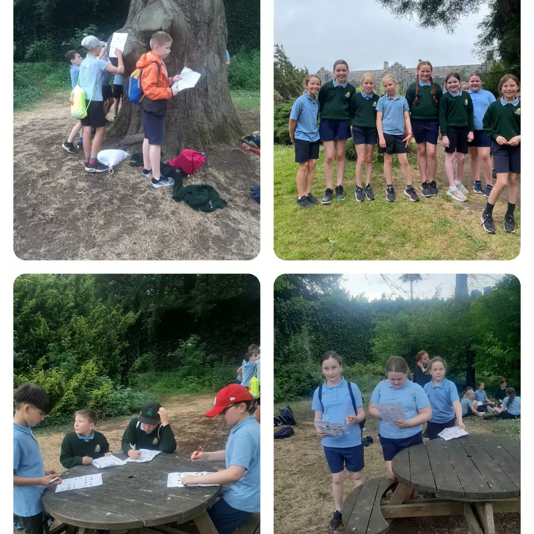 CrinkillNS's tweet photo. 4th class are having a very fun and active week! #4thclass https://t.co/muWvR7aG2U