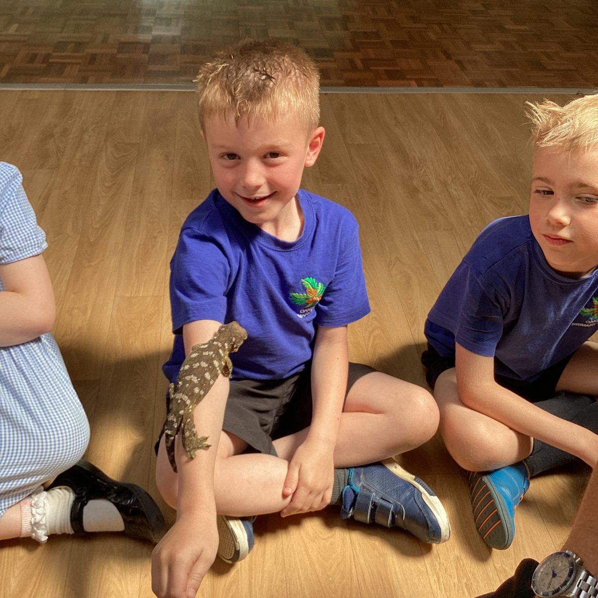 OakdalePriSch's tweet photo. All classes have had a visit from @ZooLabUK this week. This has been arranged by Friends of Oakdale to celebrate our new library area designed by the school council. https://t.co/3TbdogjKQm