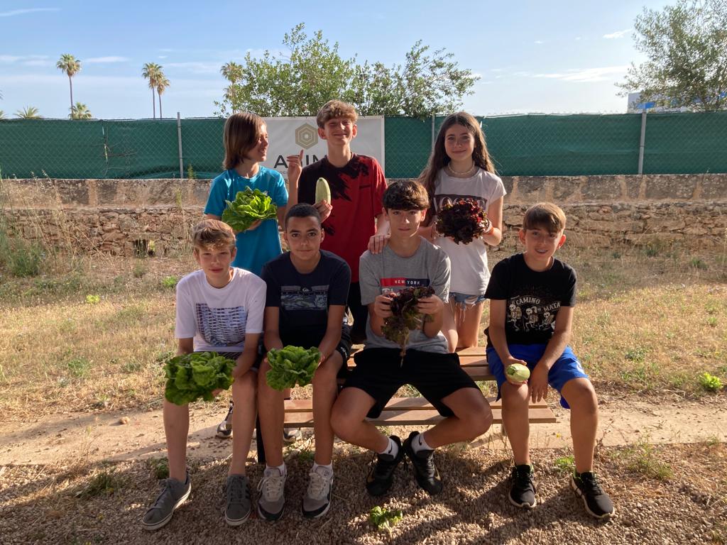 IES Son Pacs tweet media