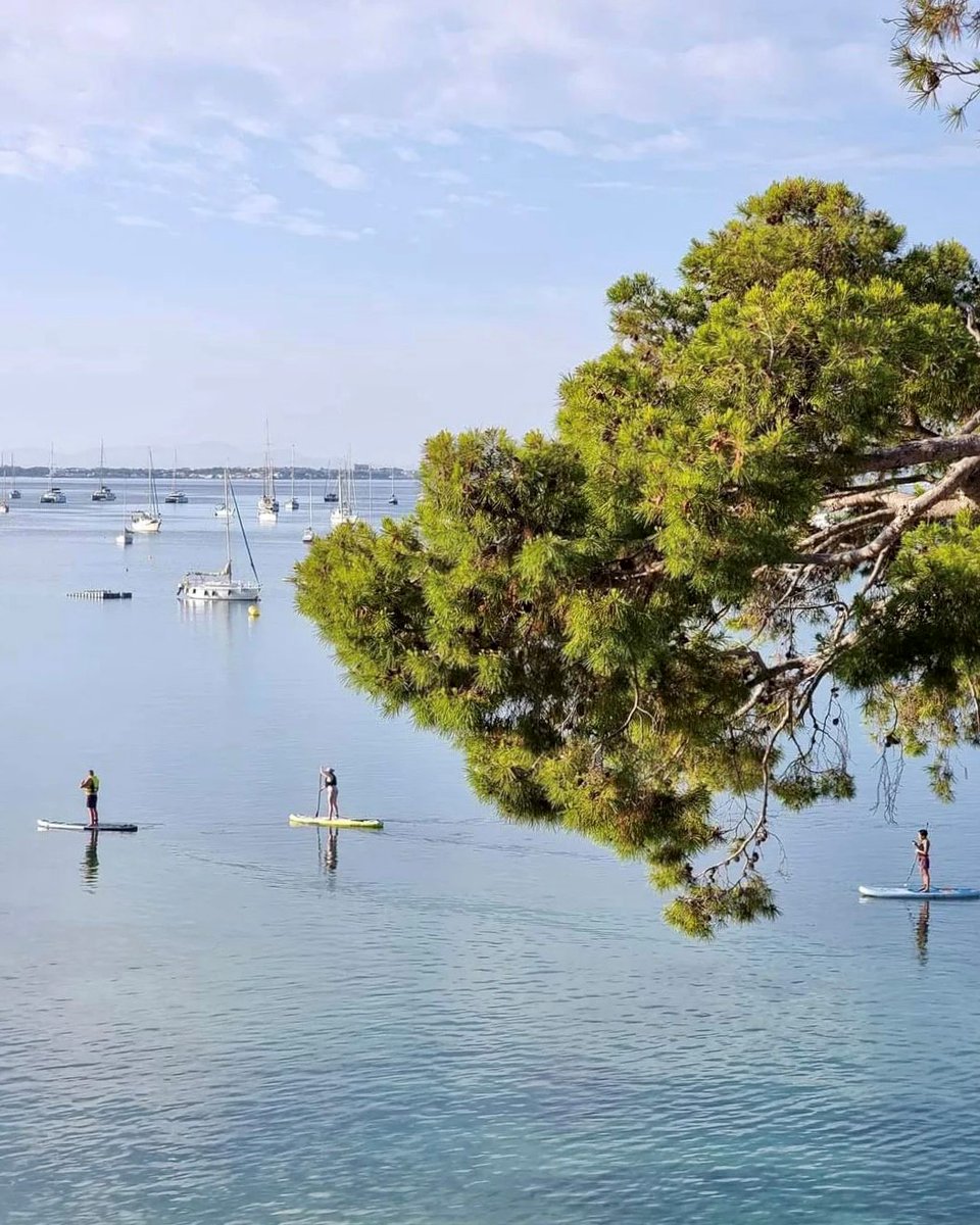 Flat sea and a stand-up paddle board - a fine way to spend a morning... 🌊🏄‍♀️
(thanks @PtoPollensaCom for the balmy photo)

𝗕𝗢𝗢𝗞𝗜𝗡𝗚𝗦 ➡️ hotelsispins.com/booking/

#standuppaddle #Pollensa #Pollença #PuertoPollensa #summerholiday