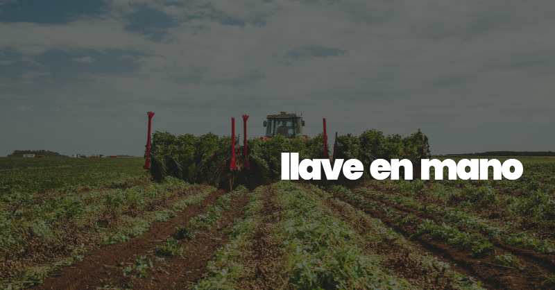 maniseros's tweet photo. ¡Potenciá con innovación!

Cultivos llave en mano de 🥜, 🌽 y 🌱.
Es como si vos mismo lo hicieras, ¡pero sin complicaciones!
Nos encargamos de todo, desde el inicio hasta la cosecha, simplificándote el proceso.

📲 Documentación digital.
🔰 Incluye programa de lealtad (Orbia).