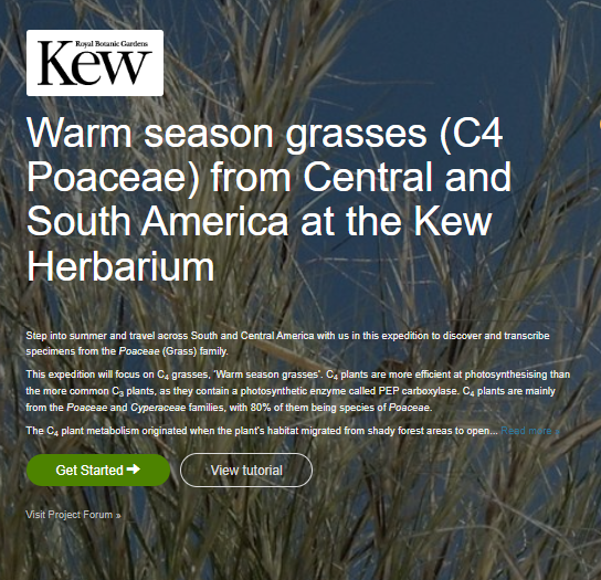 Elle_James_'s tweet photo. We have two new expeditions of Poaceae (Grass) specimens up on the Kew DigiVol page! 
@AMDigiVol  Take a minute to cool down indoors and give transcribing a go!☀️#KewDigiProject @KewScience https://t.co/YIi6gDmJfK