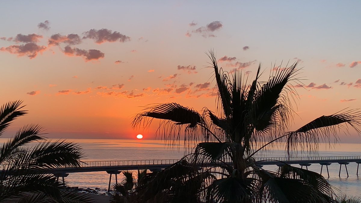 A. Pont i Cia tweet media