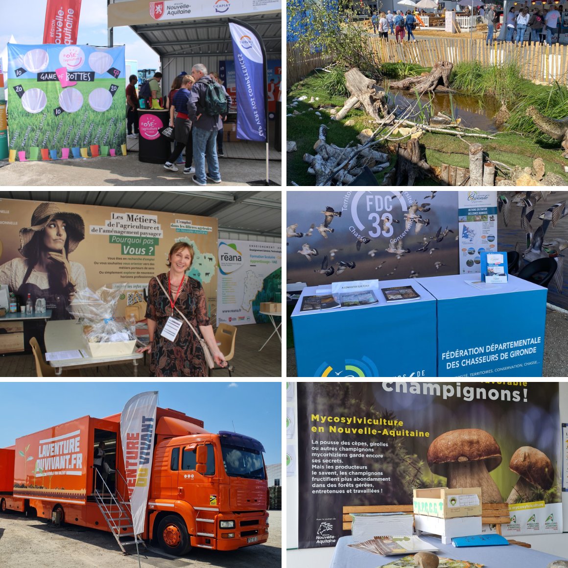 Retour sur les temps forts de l'espace #Agoragri 

Un lieu de rencontre et d'échange avec les professionnels du secteur #agricole !

Retrouvez tous les replays du Salon de l'Agriculture Nouvelle-Aquitaine 2023 sur Agriweb.tv

👉 agriweb.tv

#SANA2023