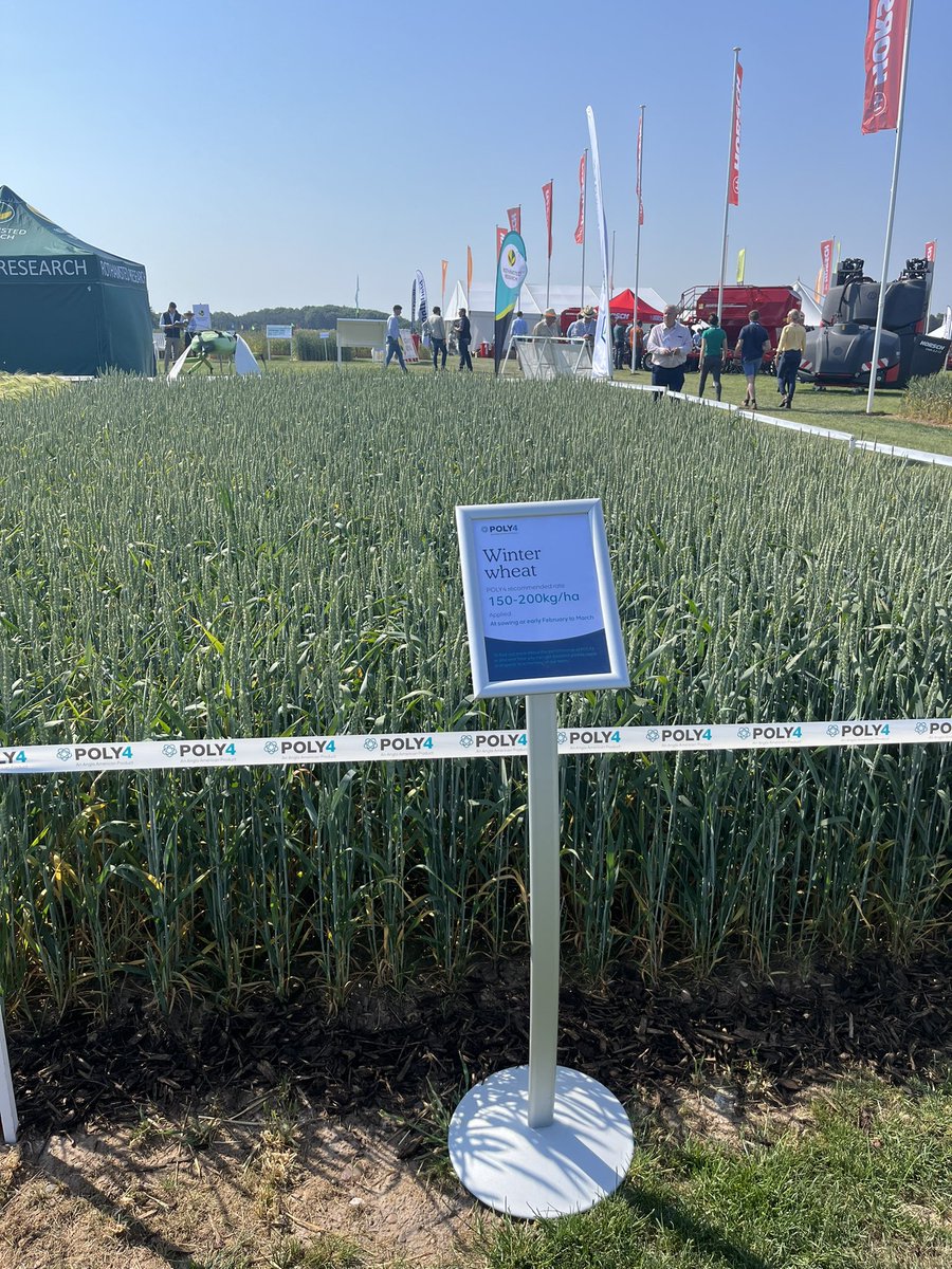 RebeccaFirth95's tweet photo. Great day at Cereals yesterday, having lots of interesting conversations about Poly4 & the many benefits of sustained nutrient release with the ever changing weather we are facing #Cereals2023 #poly4 https://t.co/k1TUQ7QxRx