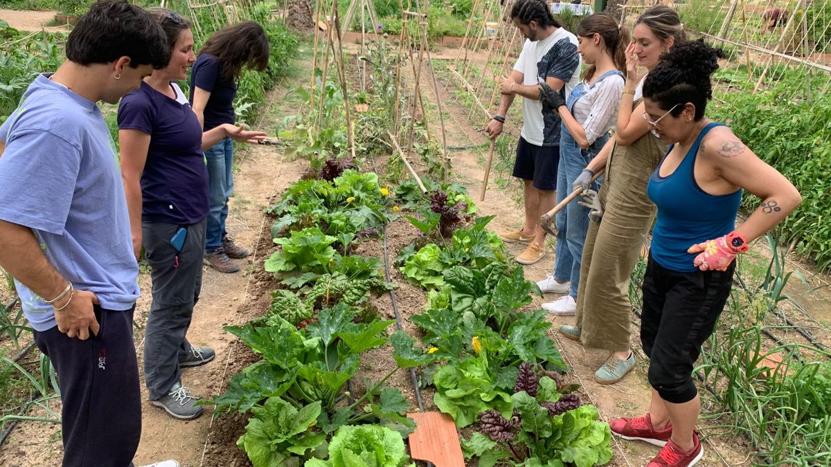 Las personas participantes del Curso de Iniciación a la Agricultura Ecológica nos comparten estas fotos de las lechugas cosechadas en el huerto de La Cuerna🥬🥬🥬

¡Qué ensalada tan rica les saldrá! 🥬🥒🍅😋

#HuertodelaCuerna #Llévateloquecultives #ODS11