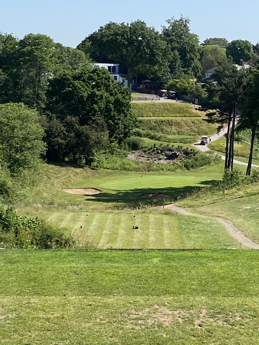 Golfers Local tweet media