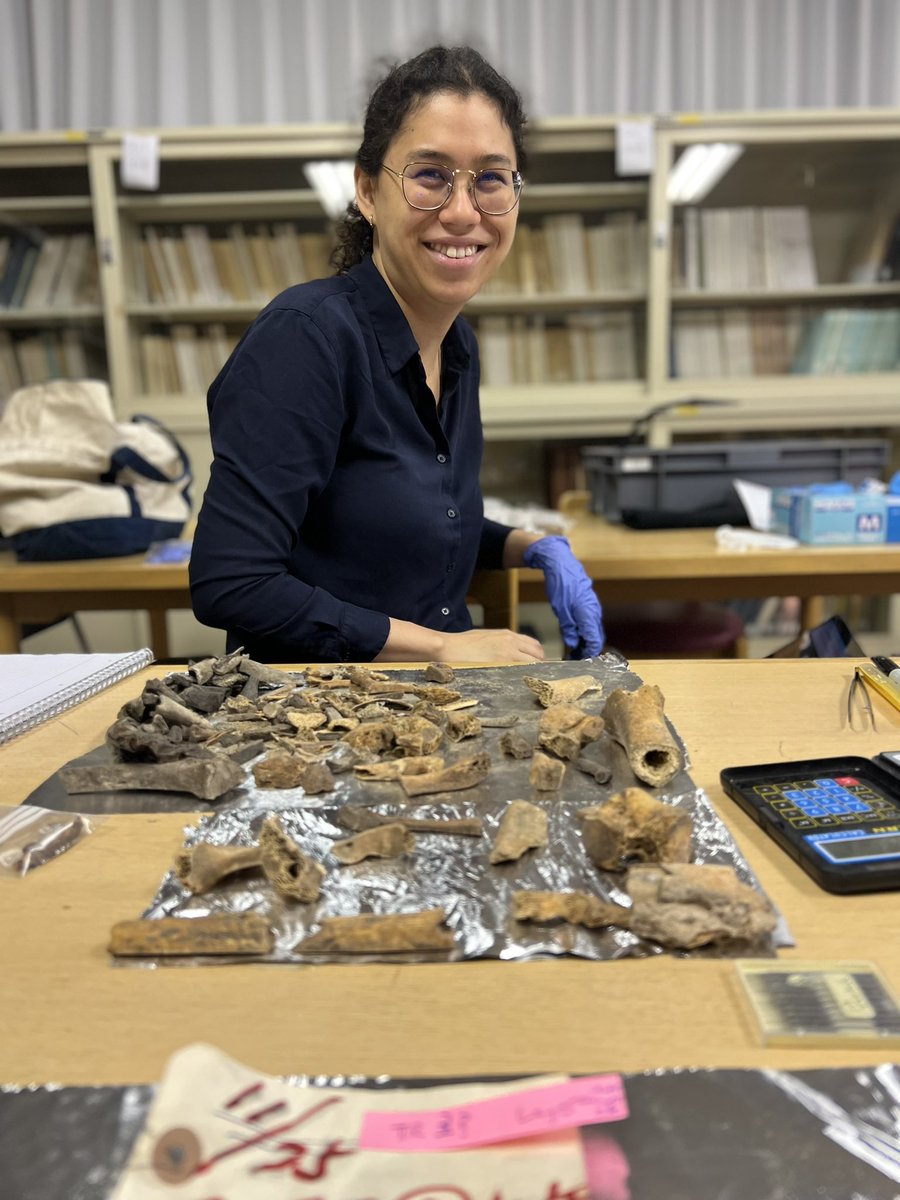 Katerina__Douka's tweet image. 🇯🇵 #Finder_Project is in Japan! Great colleagues, amazing food &amp;amp; super archaeology - with Atsushi Uemine, @Netty &amp;amp; Dylan Gaffney at Nanzan Uni @ERC_Research