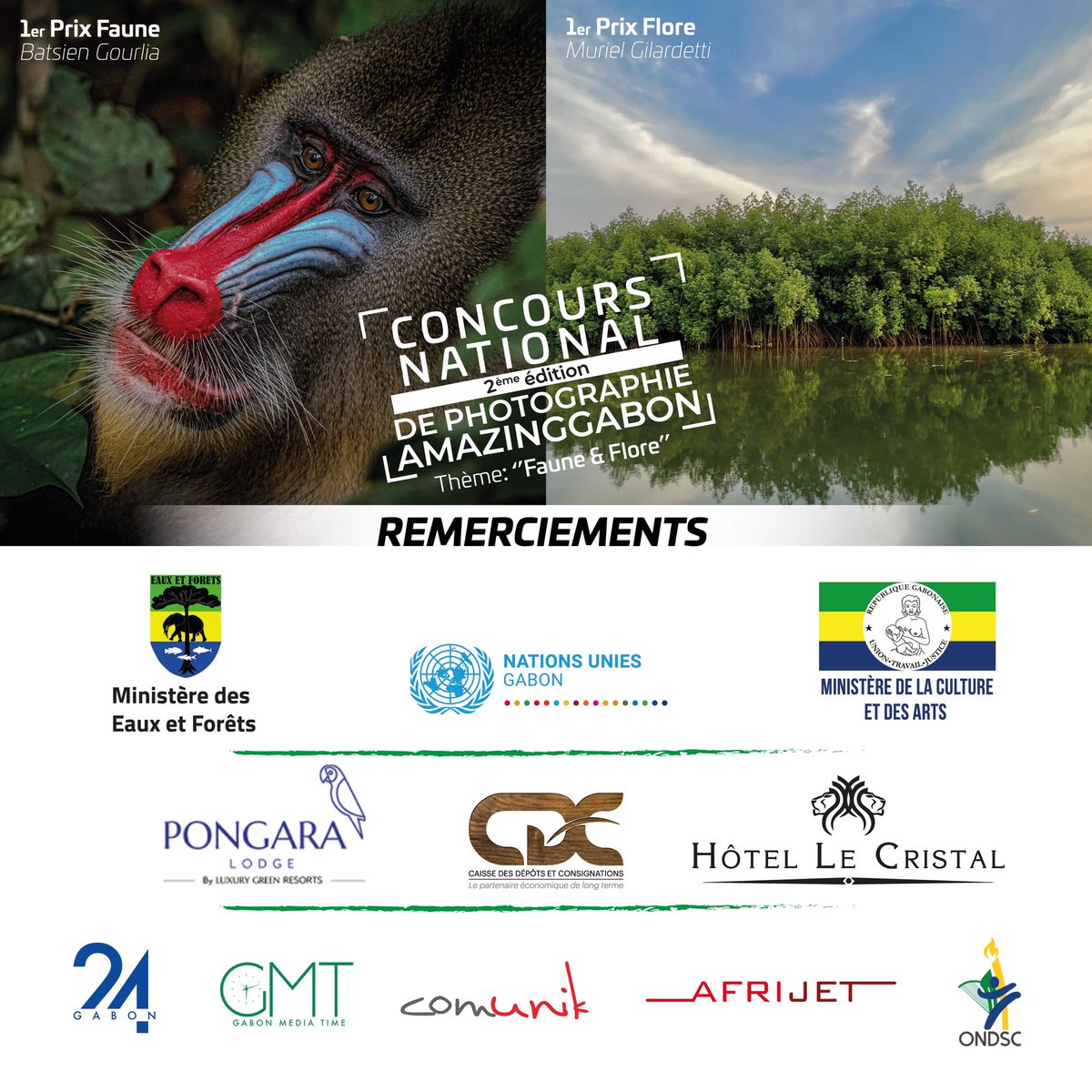 AmazingGabon tweet media