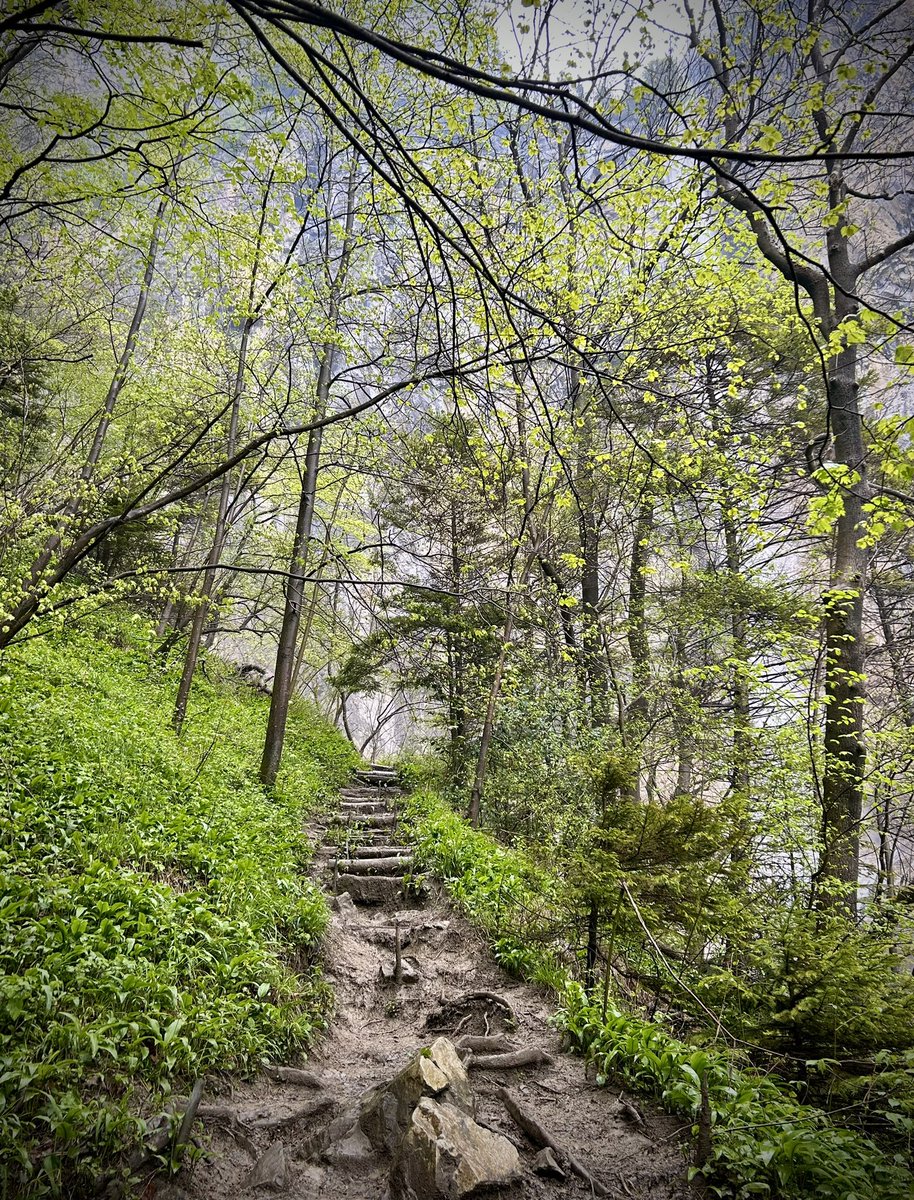 Climb to the waterfall
#Seerenbach