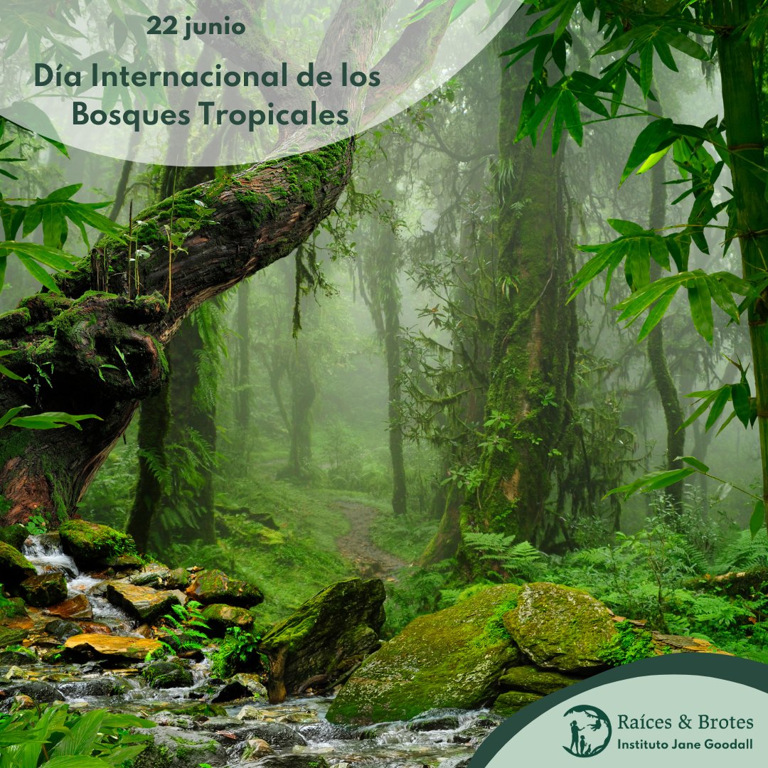 Raíces & Brotes tweet media