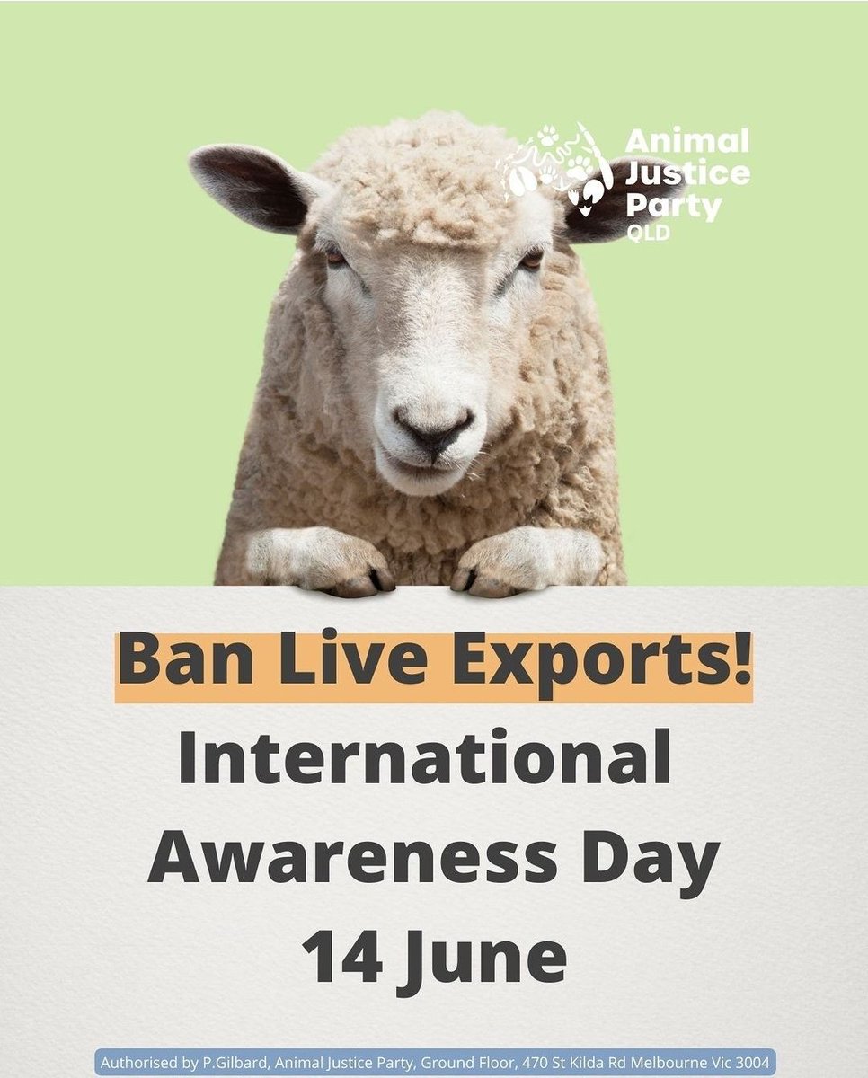 Today is Ban Live Exports International Awareness Day.
A day of global action to speak up against the horrific practice of live animal export ...

Sign our petition
qld.animaljusticeparty.org/labor_election…

More ways to participate
ciwf.org.uk/our-campaigns/…
#Banliveexport