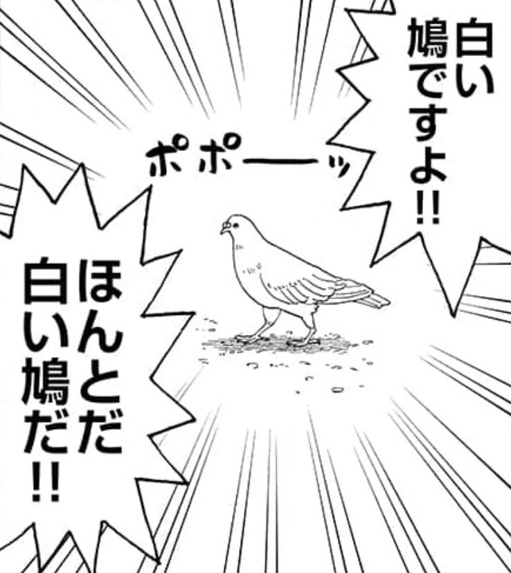 遅くなりましたがシーモア、レンタ、めちゃコミ他でも20話の配信が始まっています。 白い鳩も出ます!