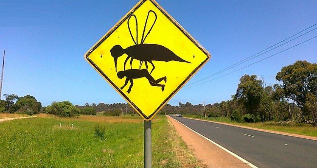 Vous pensiez que le changement climatique n’allait provoquer “que” des catastrophes météo (sécheresse, déluges, méga-feux…). Désolé de vous apprendre qu’elles seront aussi sanitaires ! #santé

escapethecity.life/parasites-rech…