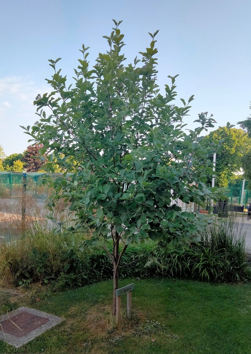 Image Masters - Ireland's School Photographers tweet media