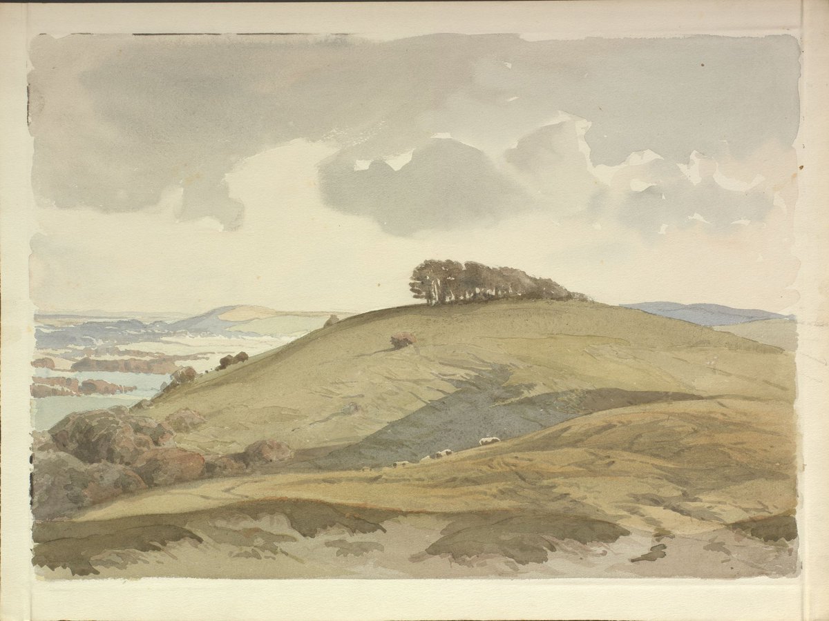 As it’s #HillfortsWednesday, here’s Stewart Acton’s watercolour showing Chanctonbury Ring. The earthworks at the site are thought to date to the late Bronze Age / early Iron Age. #Sussex #archaeology #hillforts
