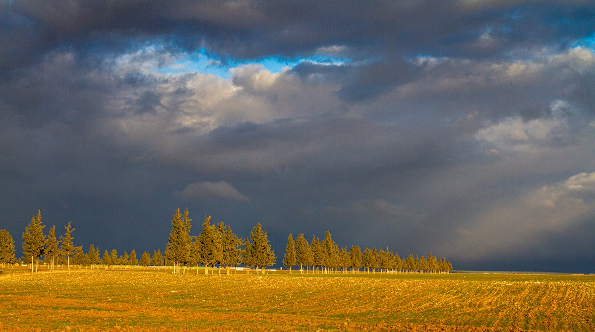 ZedamNabil's tweet photo. Mezloug, Sétif 
#Algeria #Algerie #canon #landscape #photography #الجزائر https://t.co/fQsOnogtNP