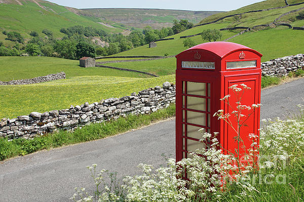 daveluc1's tweet photo. New artwork for sale! - "Summertime in Keld." - https://t.co/azXtFHLZmC @fineartamerica https://t.co/ZWTOaqXSaR