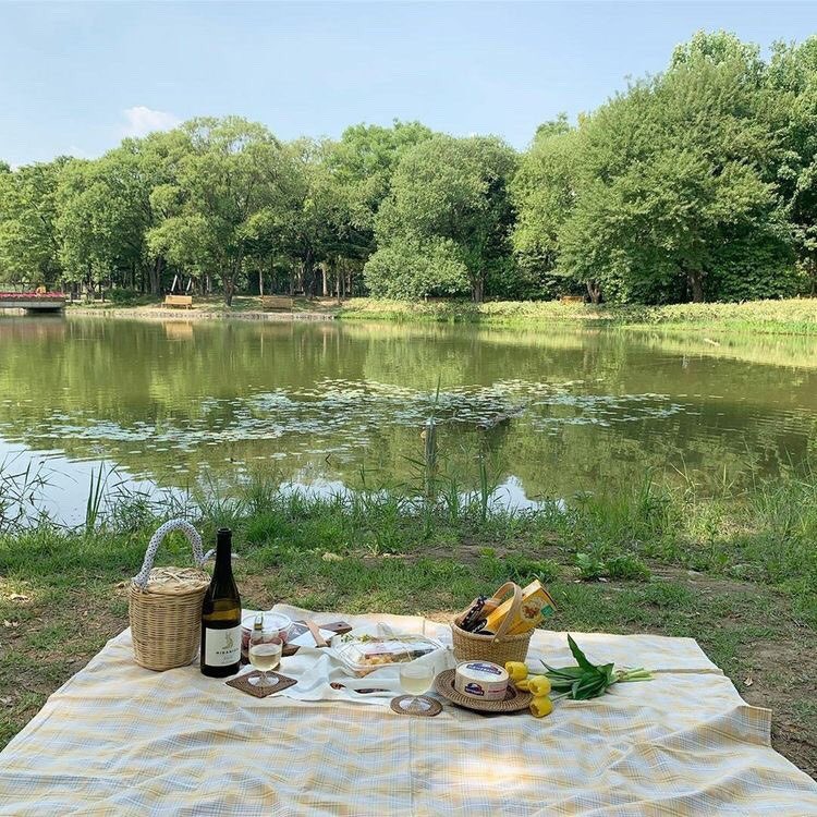 in the mood for a picnic