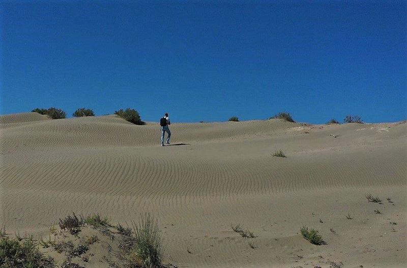 PHOTOS + VIDEO: The 'Sahara' with the dunes, westside of Limassol!

#limassol #cyprus #sea #beaches #life #attractions #placestovisit #AllAboutLimassol #OfficialGuide 

Discover more at tinyurl.com/krnh4d5a