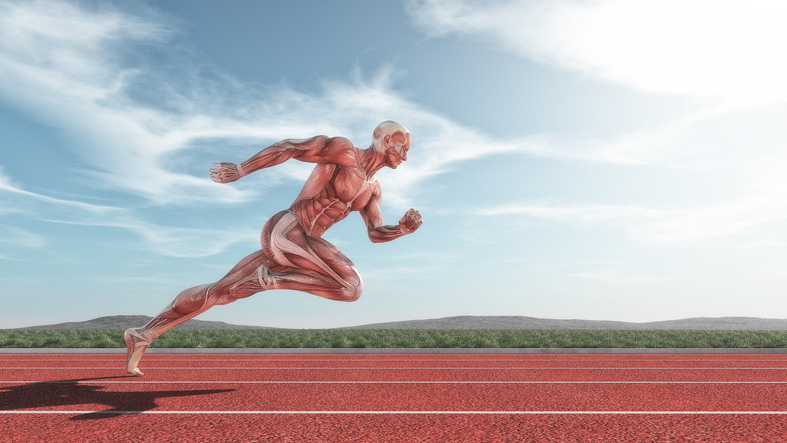Clock Foundation (@clockfoundation) on Twitter photo Exercise is good for you, but does it make your muscles younger? Fascinating research on exercise training in humans & aged mice shows that muscle becomes epigenetically similar to OSKM partial reprogrammed tissue! <a href="/KevinMurachPhD/">Kevin Murach</a> #MuscleRejuvenation journals.physiology.org/doi/abs/10.115… Exercise is good for you, but does it make your muscles younger? Fascinating research on exercise training in humans & aged mice shows that muscle becomes epigenetically similar to OSKM partial reprogrammed tissue! <a href="/KevinMurachPhD/">Kevin Murach</a> #MuscleRejuvenation journals.physiology.org/doi/abs/10.115…