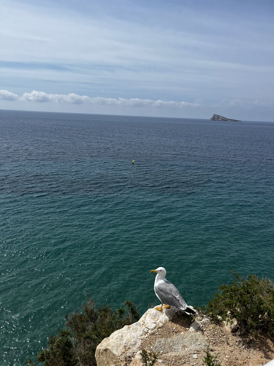 ✨Harry McCartney (She/Her) ✨ tweet media