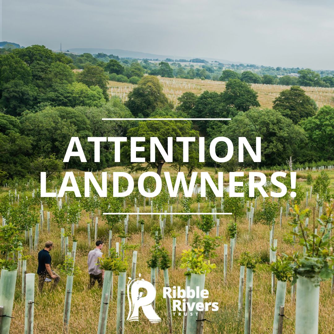 Do you own or manage land in the #Hyndburn, #SouthRibble or #WestLancashire districts? 

We need #landowners wanting to help Lancashire achieve bigger, better and more joined up woodlands across the county.

To find out more or email admin@ribbletrust.com or call 01200 444452