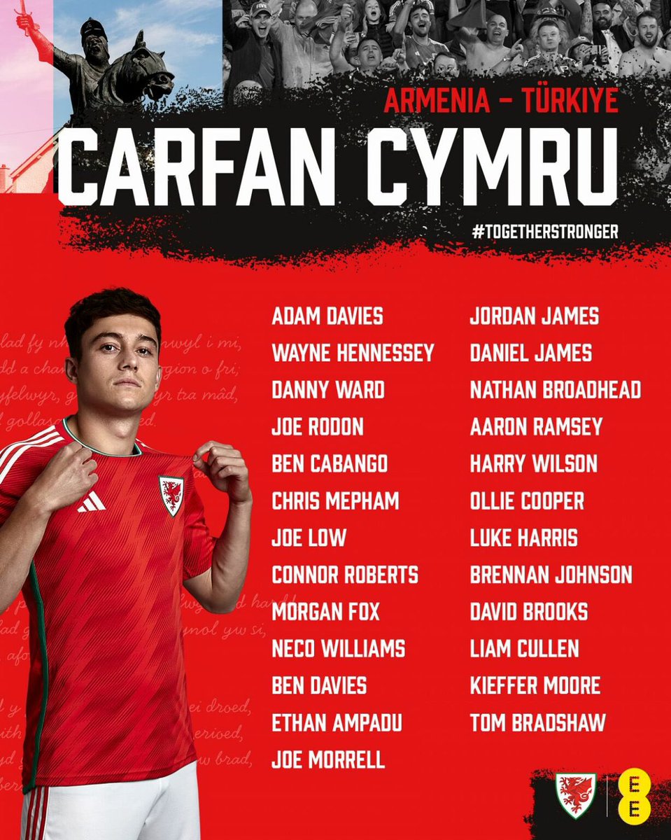 Come on Wales 🏴󠁧󠁢󠁷󠁬󠁳󠁿