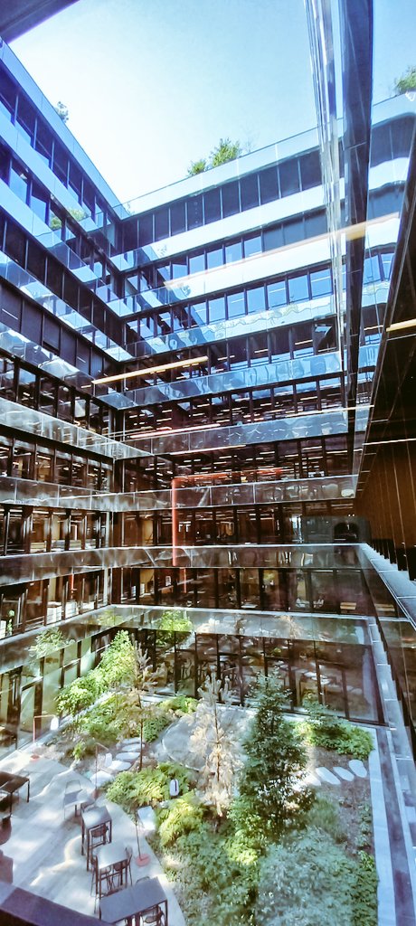 Andrea Limone tweet media