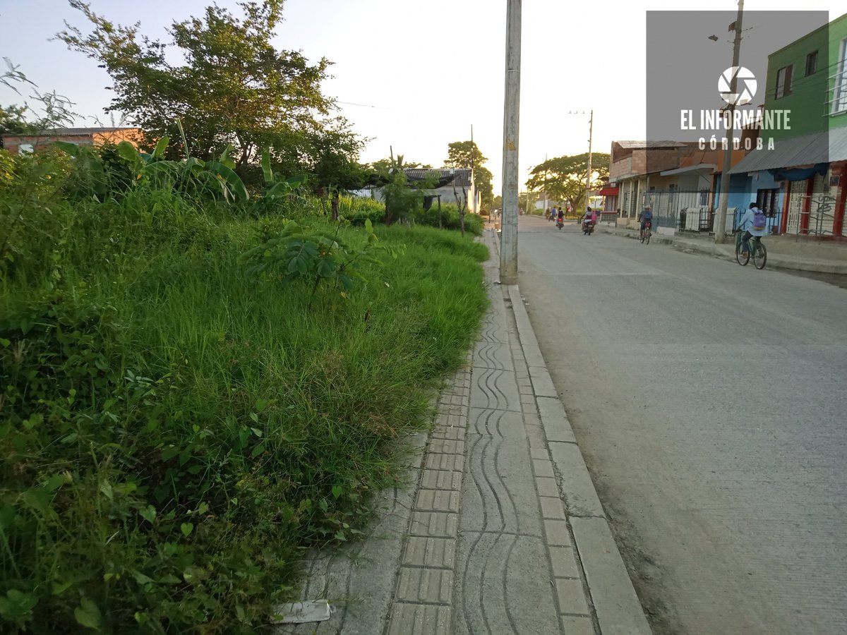 Los habitantes del barrio los Robles al sur de montería le piden a la empresa encargada de los mantenimientos de parques y zonas verdes a que por favor le echen un vistazo a est cancha que está ubicada en este sector , se le hace el llamado a <a href="/UrbaserMonteria/">Urbaser Montería</a>.