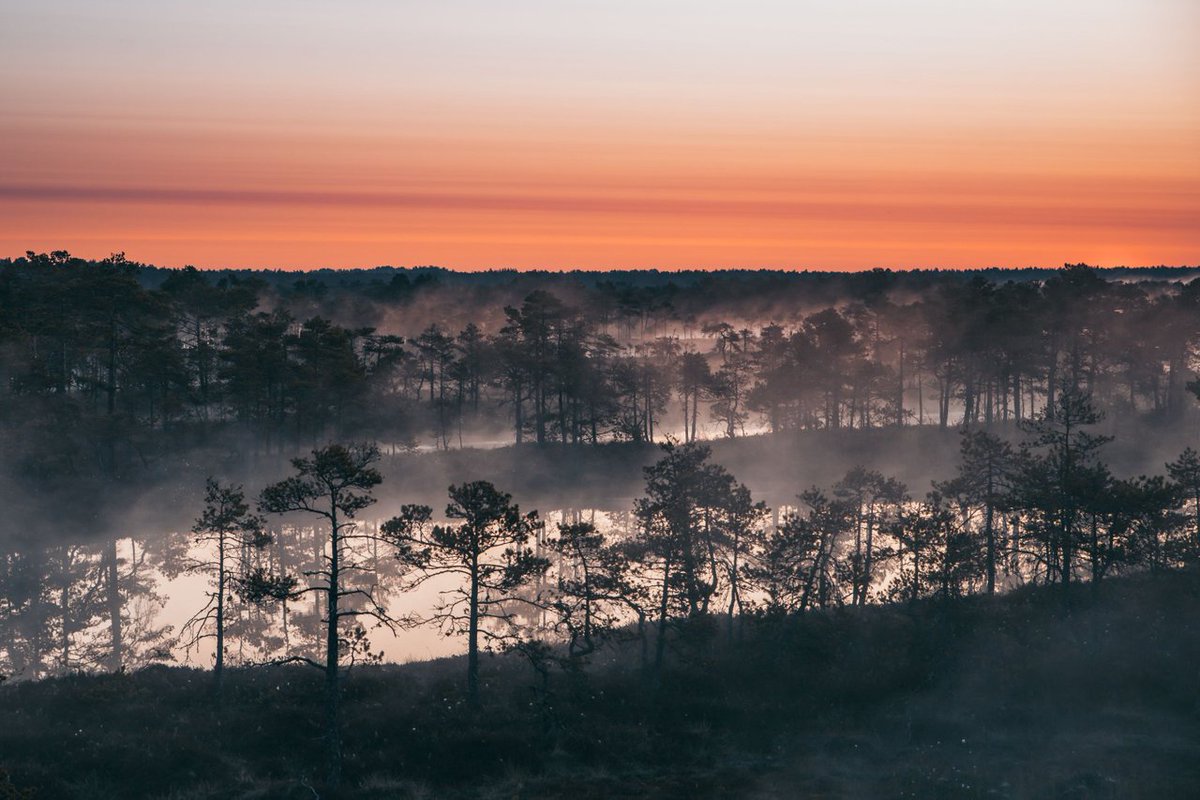 📷📷Good Morning World!📷📷                                            

Check out our daily top 8 artists on #Hive

📷Round 1489
📷Image by Cmnphotos

peakd.com/hive-153349/@p…

#photography #hive #hiveworks #hiveblog #HIVETwitter #photo #artist #photofeed $hive