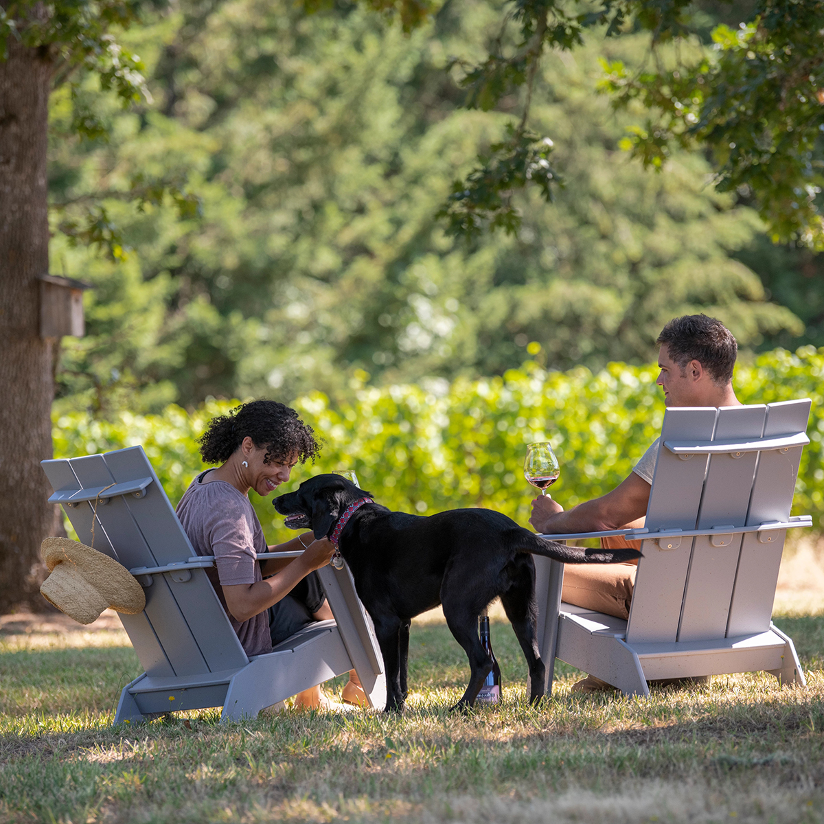 You are cordially &amp; warmly invited to our Summer Celebration Event on June 24th at 5 PM. 

Come mingle in our oak grove and blooming gardens as we pour our 2022 Rosé of Pinot Noir and 2022 Viognier.

Space is limited, so RSVP soon by emailing: hospitality@pennerash.com
