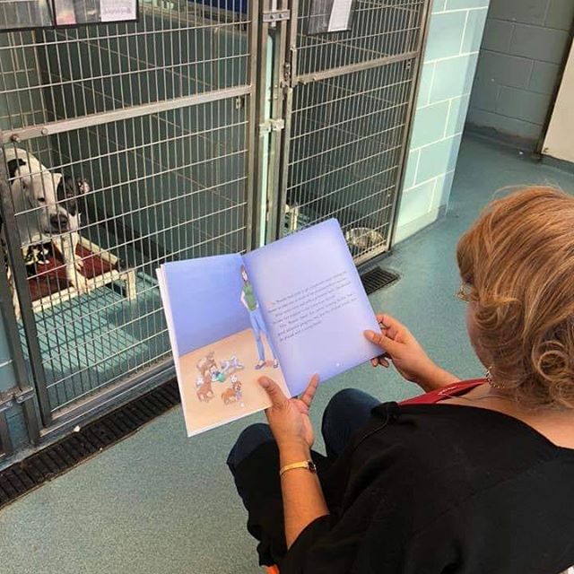 The Anti-Cruelty Society. I had the opportunity to furry friends at the The Anti-Cruelty Society. In honor of National Foster a Pet Month visit a local pet shelter and foster. #fosteringsaveslives #fosterapet #ahomeforsally @AntiCruelty