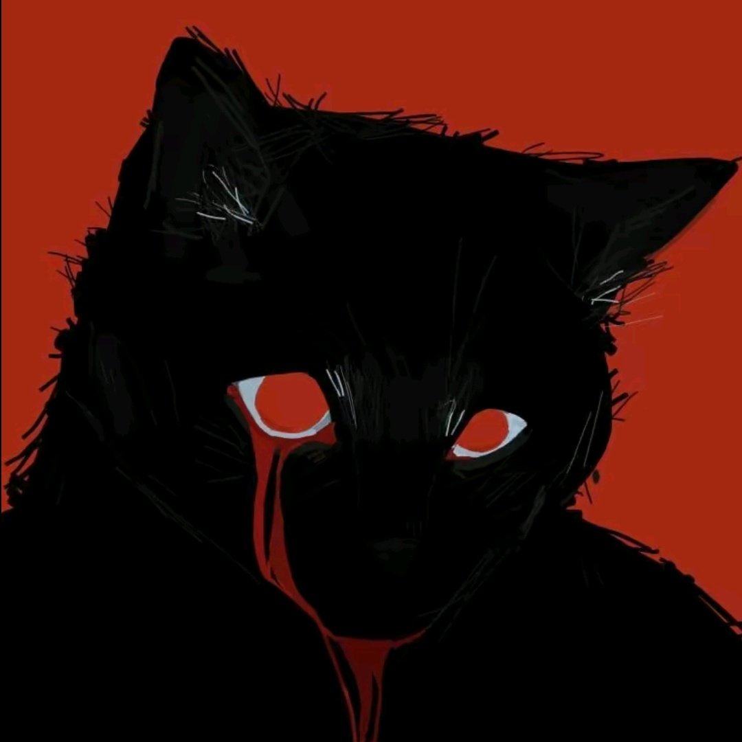 #NoweZdjecieProfilowe